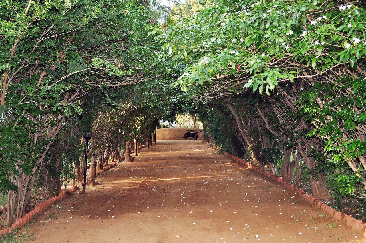 Tiger Machan Resort Ranthambore Ngoại thất bức ảnh